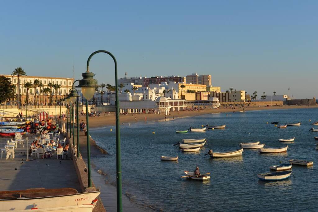 Esencia De Cadiz Entre La Vina Y El Mercado Exterior foto